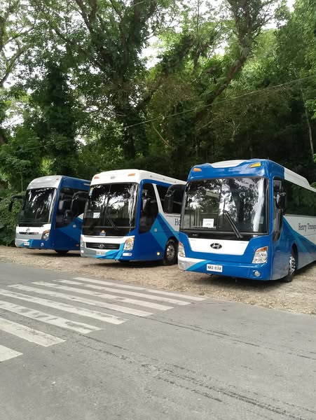 Bus (44-49 Seater)